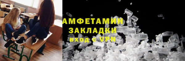 молекула духа Богородицк