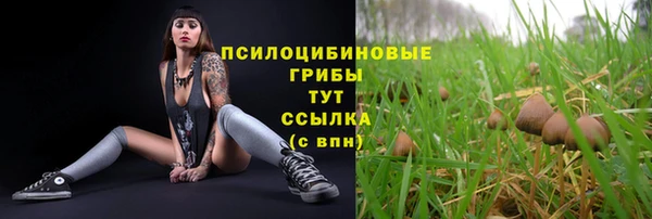 молекула духа Богородицк