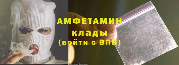 молекула духа Богородицк