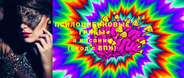 молекула духа Богородицк