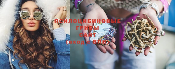 кокаин перу Богданович