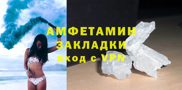 молекула духа Богородицк