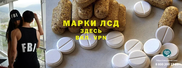 молекула духа Богородицк