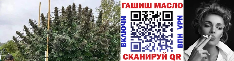 ТГК Wax  Данков 