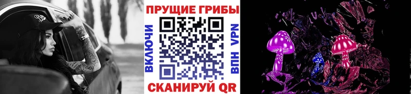 где можно купить   Данков  Псилоцибиновые грибы прущие грибы 